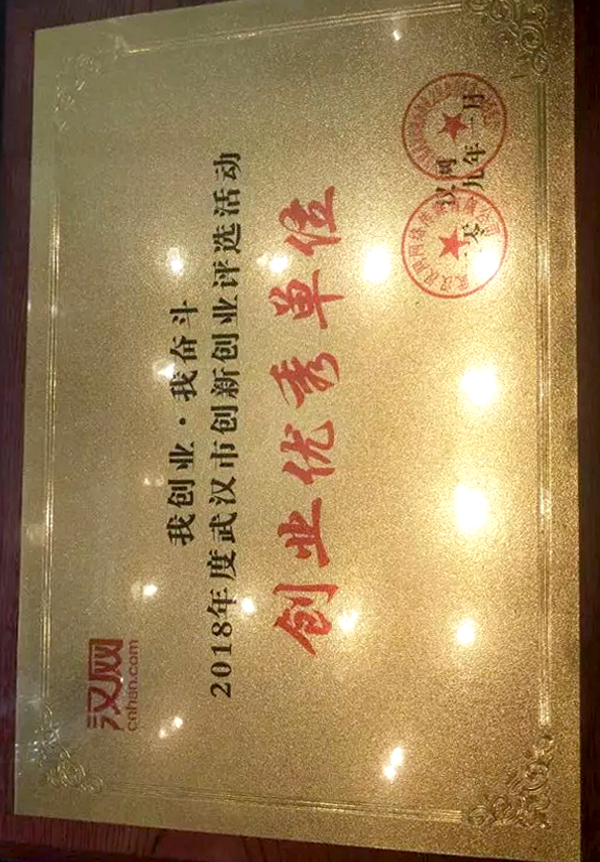 2018武汉市创新（创业）之星优秀奖